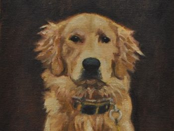 Drawing Classes