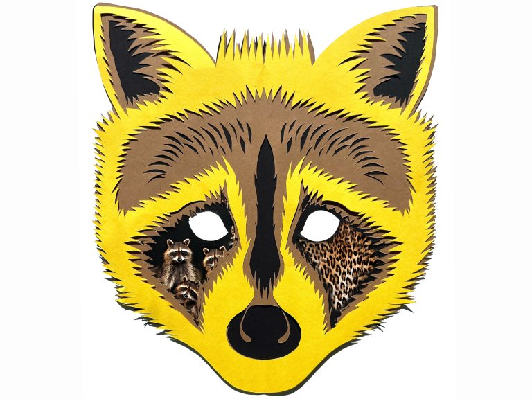 Special Interest Classes