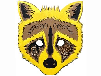 Special Interest Classes