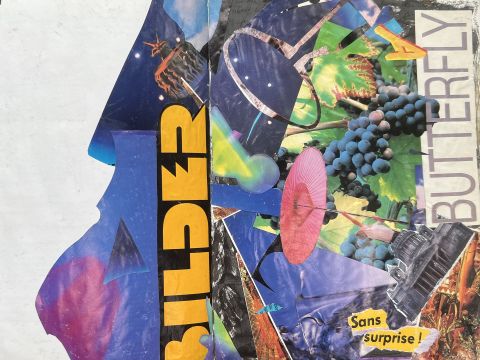 Special Interest Classes