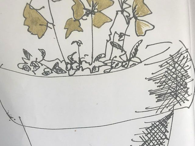 Drawing Classes