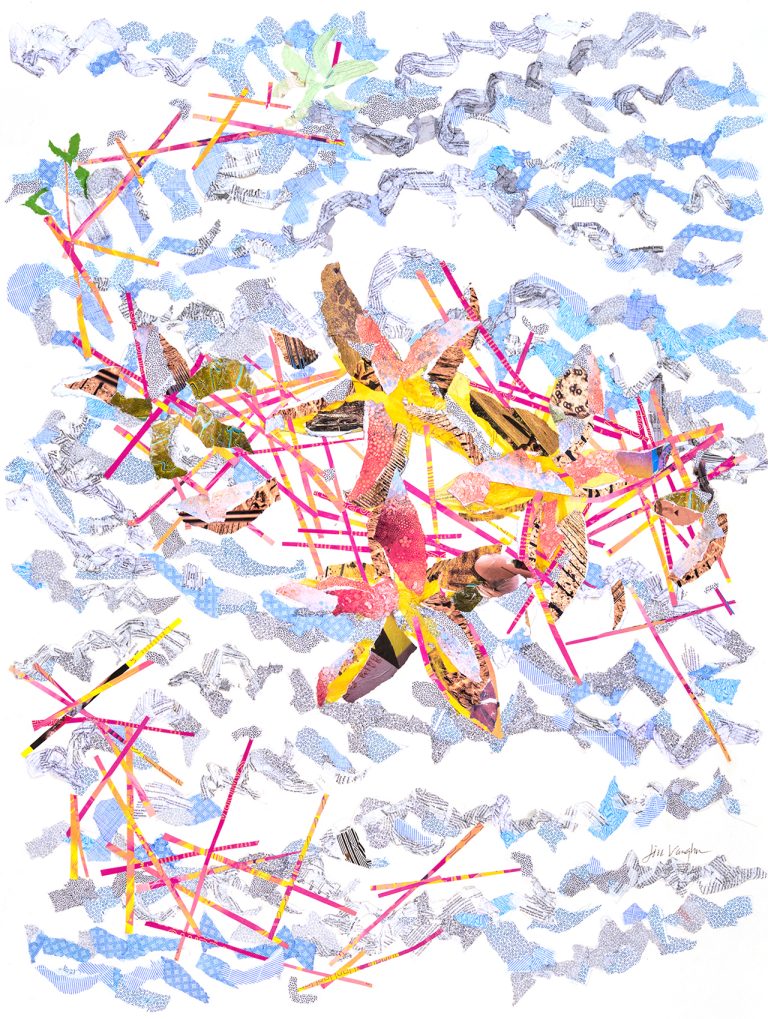 Jill Vaughn, Starfish in the Crosshairs