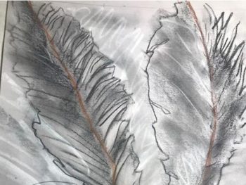 Drawing Classes