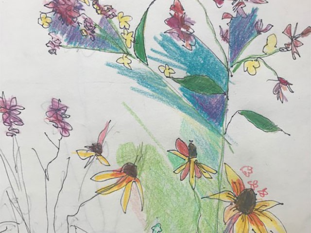 Drawing Classes